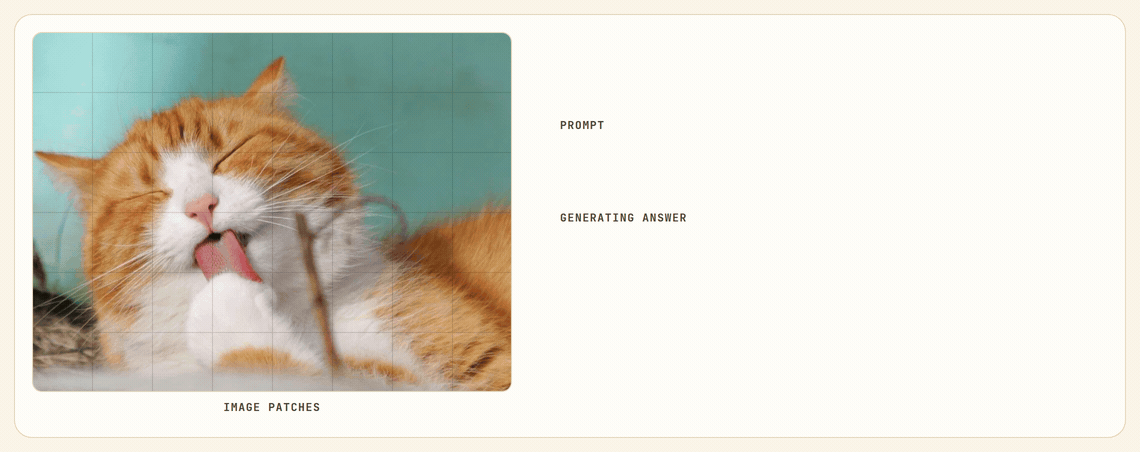 Animated teaser: a photo of a cat licking its paw is split into a patch grid on the left, labeled Image Patches, while the prompt 'what is the cat doing' and the generated answer 'the cat is licking its paw' build on the right. As each answer word is generated, matching image patches light up -- the cat's head for 'cat', its mouth for 'licking', its paw for 'paw' -- while filler words like 'the' and 'is' light up the whole image faintly.